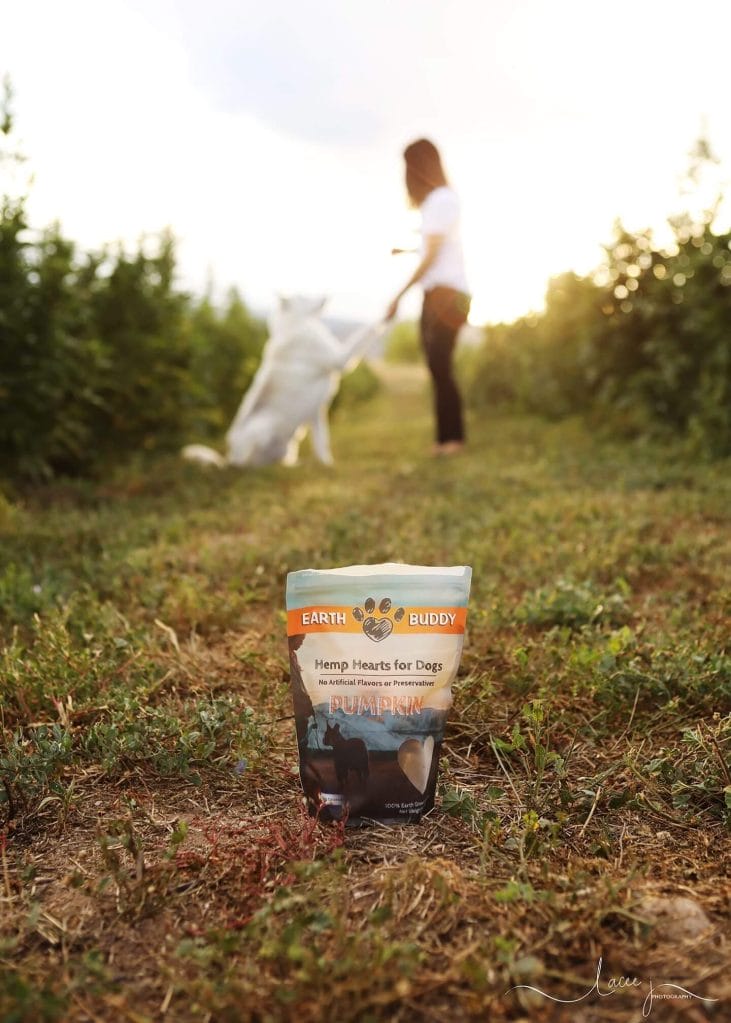 Dog shaking owner's hands for a delicious Earth buddy Hemp Heart dog treat. These treats are made with the best CBD oil for pets
