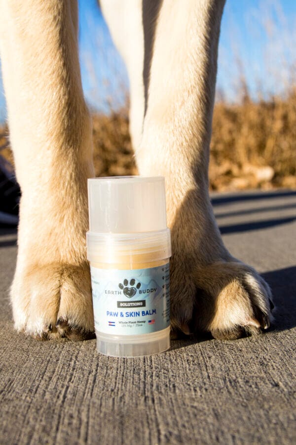 Earth Buddy Paw Balm for dogs and cats soothes dry or irritated paws.