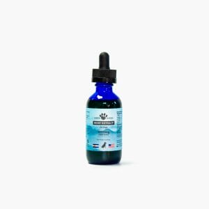 1000mg Hemp Extract for Dogs in blue glass bottle