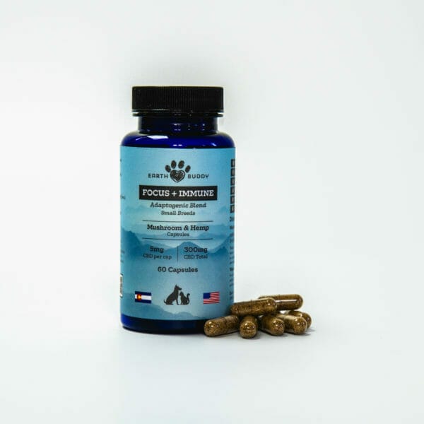 A bottle of 5mg hemp & functional mushroom pill supplements for dogs from Earth Buddy.