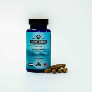 A bottle of 5mg Earth Buddy Mushroom and Hemp Capsules, a mushroom supplement for dogs and cats.