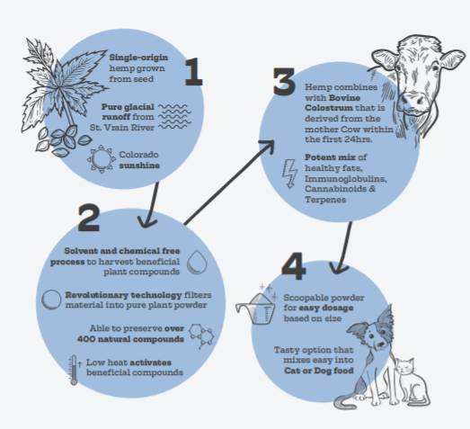 A diagram of how bovine colostrum benefits digestive health in dogs and cats.