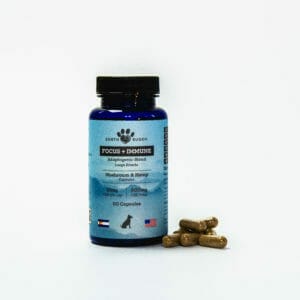A bottle of 10mg mushroom supplements for dogs. Earth Buddy Mushroom and Hemp Capsules.