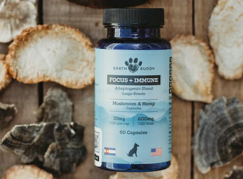A bottle of mushroom and CBD pet supplement for Immune Support in front of mushrooms