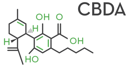 Molecular structure of the cannabinoid CBDa. CBDa oil is one of the best joint supplements for dogs and cats.