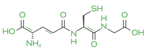 Molecular structure graphic of glutathione. Glutathione for dogs helps defend against toxins.
