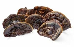 Organic reishi mushrooms for dogs & cats used in Earth Buddy functional mushroom supplements.