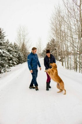 image of man and women on a snowy trail playing with a golden retriever, that is jumping up to greet them. 