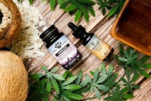 Earth Buddy Pet CBD products on a table. Parsley Pet features Earth Buddy in the news!