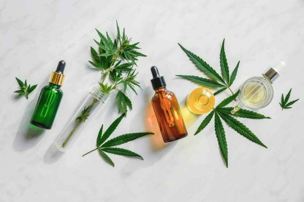 A flat lay of hemp leaves and bottles. Found in hemp, cannabinoids and terpenes for dogs and cats have shown positive health effects.
