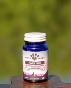 Glutathione for dogs improves quality of life by boosting their immune system.