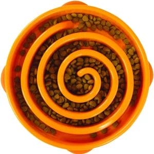 picture of slow feeder bowl as recommended gifts for pet owners