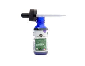 Earth Buddy uses both mushroom fruiting body and mycelium in their mushroom tincture for pet allergies