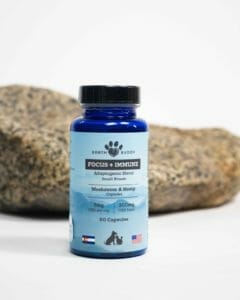 Earth Buddy functional mushroom capsules for dogs & cats. Read about mushroom fruiting body here.