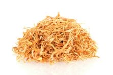 cordyceps mushrooms in a pile with an all white background. Cordyceps mushrooms benefit dogs with cancer