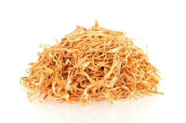 cordyceps mushrooms in a pile with an all white background. Cordyceps mushrooms benefit dogs' immune function