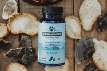 Image of earth buddy mushroom capsules for dogs and cats in a blue bottle surrounded by raw turkey tail and lion's mane mushrooms on a wood table