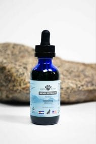 image of earth buddy 1000mg hemp extract for dogs in front of a rock with white background. CBD is great for long road trips with dogs.