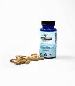 Earth buddy 5 mushroom blend for dogs with capsules that can be opened and mixed into food are a great supplement for dogs with allergies or cancer.