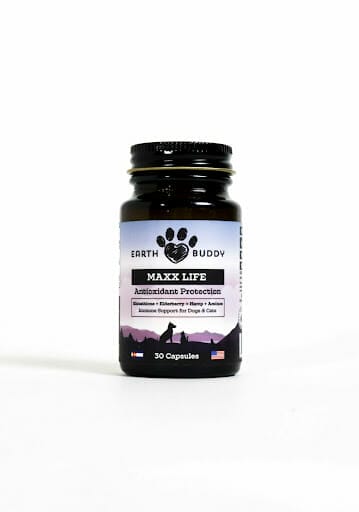 earth buddy maxx life glutathione for dogs and cats in a brown bottle with white background. Glutathione is a great supplement for dogs with allergies.