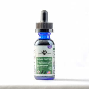 An allergy and immune tincture from Earth Buddy made with a functional mushroom blend and elderberry