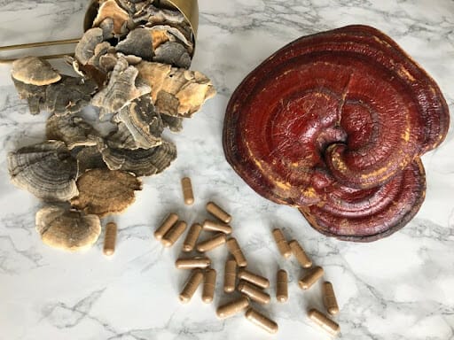 turkey tail and reishi mushrooms with earth buddy mushroom capsules on table. Turkey tail mushrooms have shown to kill cancer cells.