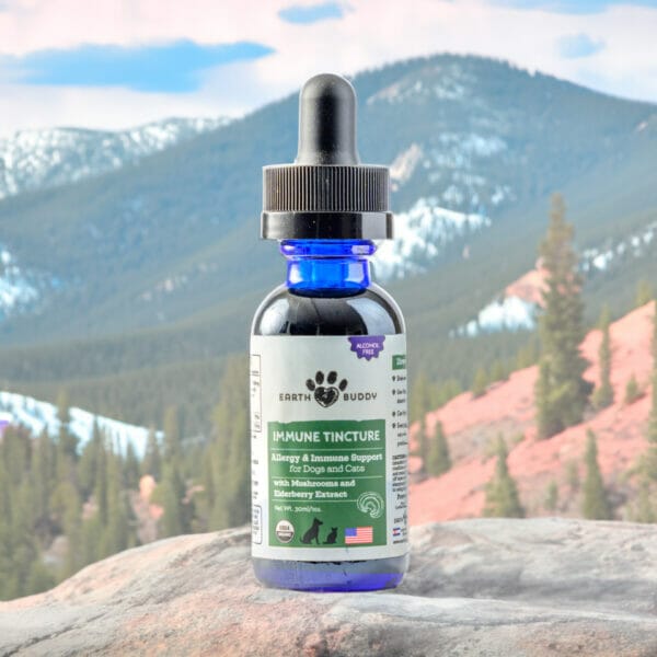 Earth Buddy Immune Tincture on a rock in front of the Rocky Mountains. Immune Tincture contains 5 different species like turkey tail mushrooms for dogs.