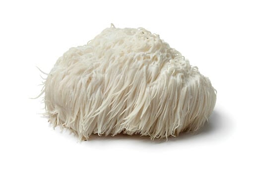 Lion’s mane medicinal mushrooms for dogs can promote healthy nerve growth factors.