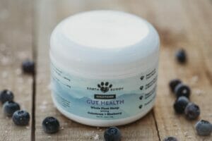 Earth Buddy Gut Health Colostrum for dogs with organic blueberries spread around the white jar on a wood table. Colostrum for dogs combined with blueberries is a great way to support dog gut health
