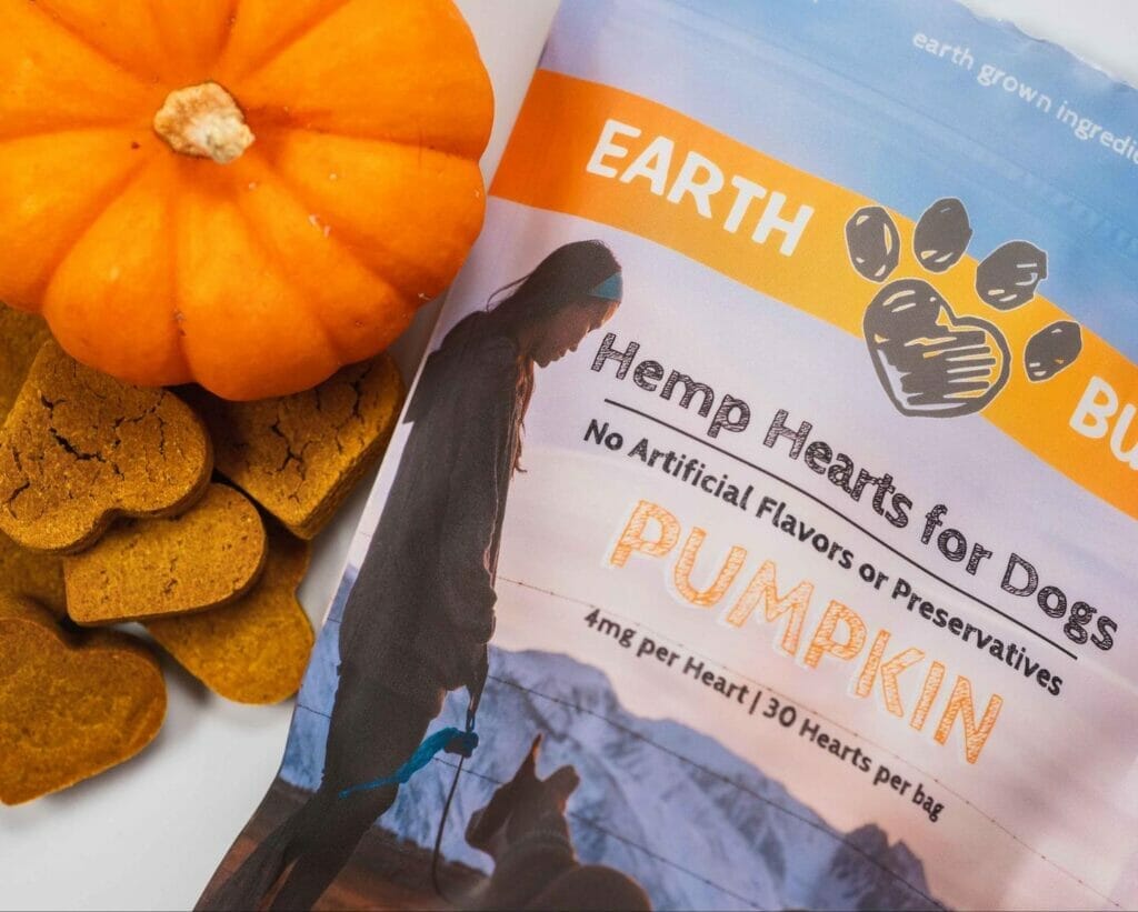 Earth Buddy Hemp Hearts with Pumpkin and CBD for dogs with an orange pumpkin and dog treats next to packaging. Read this article to find out why pumpkin is good for dogs