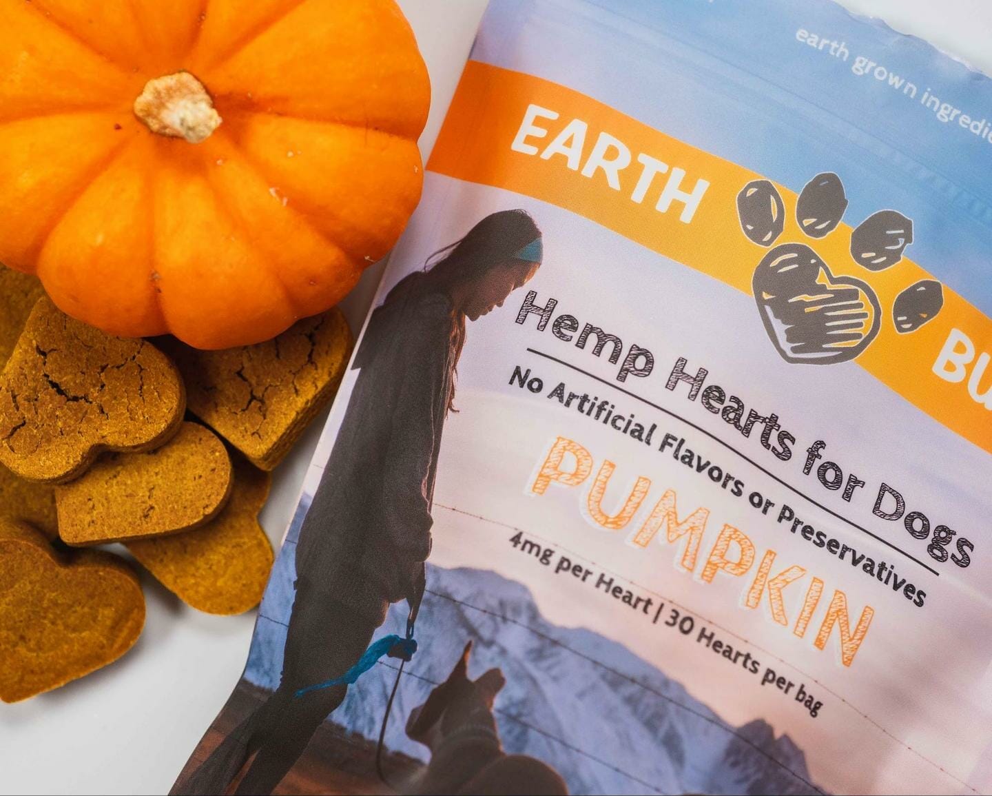 Unsweetened pumpkin hotsell for dogs