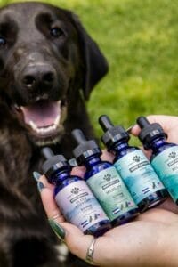 Chocolate lab with mouth open in front of Earth Buddy Hemp Extracts that contain mct oil for dogs along with CBDa, CBD, CBG, and CBN. 
