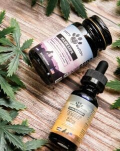 Earth Buddy Maxx Life glutathione capsules with purple and blue label next to Cellular Support Hemp Extract containing CBG and CBD with orange label. The combination of these two full spectrum hemp extracts support older pet’s brain function