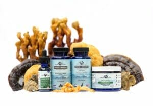 Earth Buddy mushrooms for dogs come in a variety of powders, mushroom capsules, and mushroom tinctures. Featured here with raw, organic cordyceps, lion’s mane, reishi, and turkey tail mushrooms for dogs.
