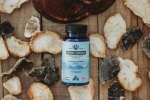 Lions mane mushrooms, reishi mushrooms, and turkey tail mushrooms for dogs on a table next with Earth Buddy Mushroom & CBD capsules to support common dog allergies.