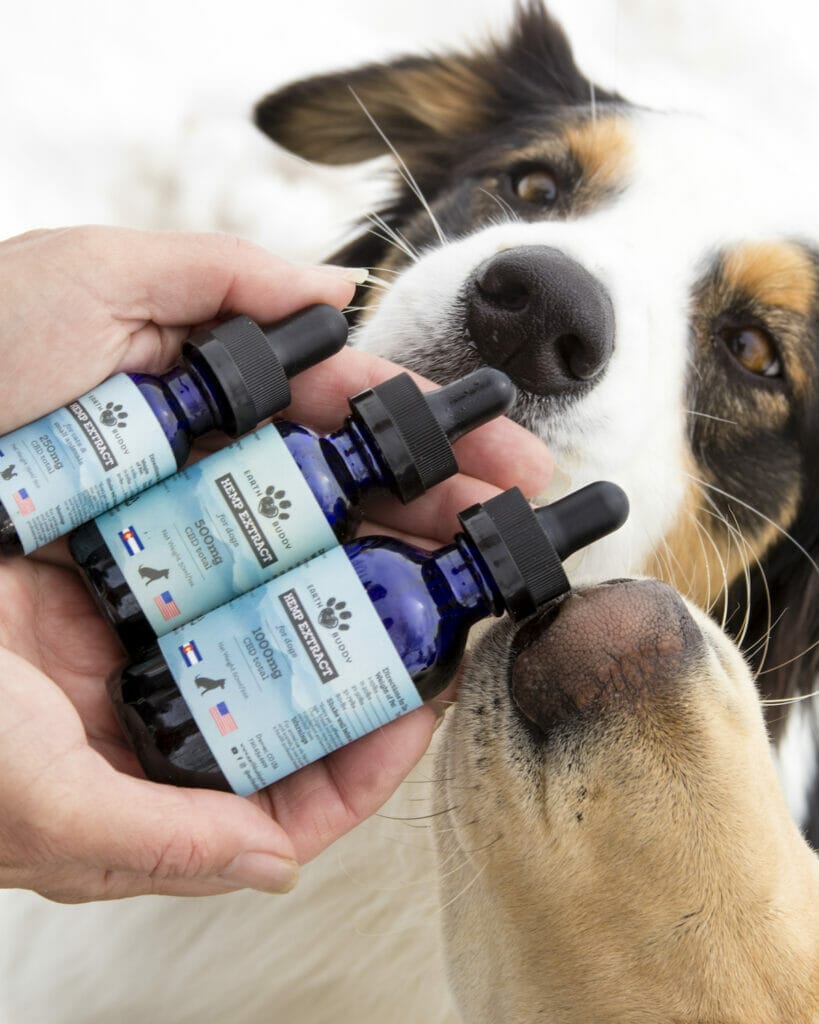 Border Collie smelling Earth Buddy’s different CBD dog health supplements.