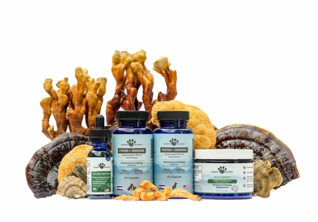 Earth Buddy’s 4 different products with Mushrooms for dogs with whole reishi mushrooms, cordyceps mushrooms, lion’s mane mushrooms, and turkey tail mushrooms all surrounding the products.