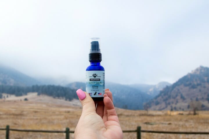 Woman's hand holding a bottle of Earth Buddy Quick Calm 250mg CBD for dogs and cats. Water-soluble CBD for dogs absorbs in the bloodstream faster to calm anxiety. 