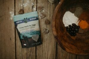 a bag of Earth Buddy Blueberry CBD treats for dogs on a wood table with a bowl of fresh blueberries, turmeric, and other spices. Blueberries for dogs are great for stomach pain. 
