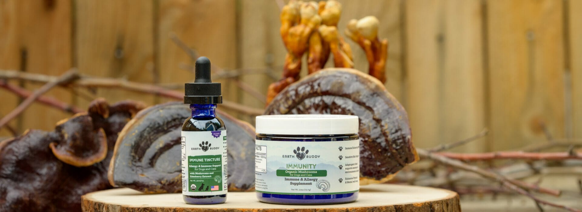 Earth Buddy organic mushroom tincture and mushroom powder for dogs and cats.