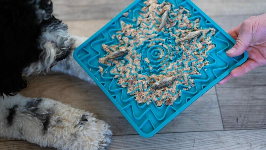 Blue lick mat with food on it with a black & white labradoodle sitting next to it. Lick mats encourage anxiety relief in dogs and are easy to mix dog CBD with food. 