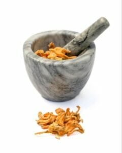 Mortar and pestle of orange cordyceps mushrooms used in Earth Buddy functional mushrooms for dogs to combat physical fatigue.