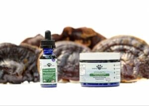 Reishi mushrooms for dogs behind Earth Buddy immune supporting functional mushrooms for dogs and cats. 