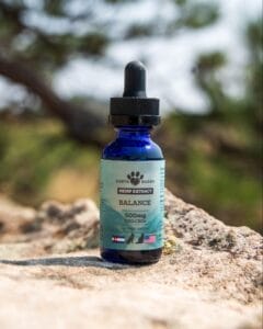 Earth Buddy Balance Hemp Extract in a blue bottle containing a 1:1 ratio of CBD oil and CBDa oil for dogs and cats getting older. 