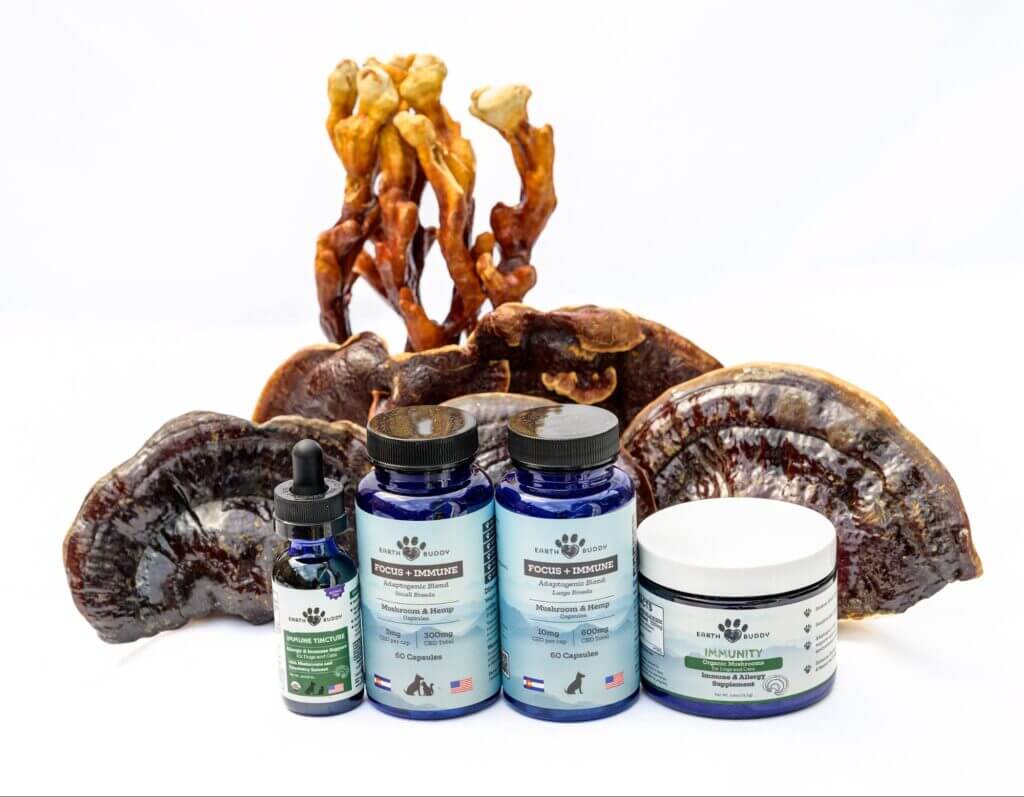 All 4 of Earth Buddy functional mushroom supplements for pets with raw reishi mushrooms behind them. Read this article to learn more about medicinal properties of mushrooms.