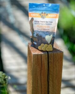 Earth Buddy Pumpkin CBD treats for dogs are limited ingredient with pumpkin to support healthy digestion. 