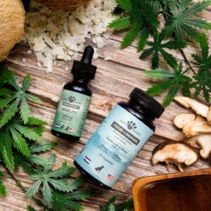 CBDa tincture & Functional Mushroom capsules that are a bundle of large dog joint supplements.