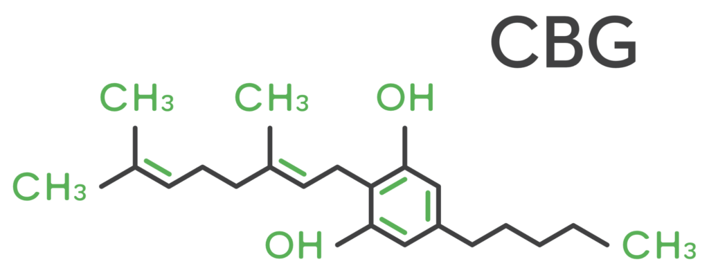 Graphic of the molecular structure of CBG or cannabigerol, which is found in Earth Buddy Cellular Support for dogs and cats. 