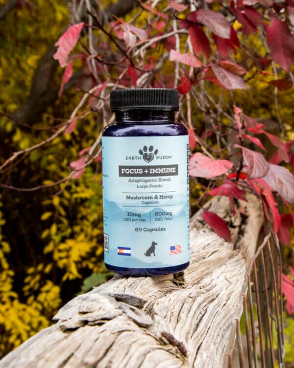 A bottle of Mushroom & Hemp capsules that are in a bundle of large dog joint supplements.