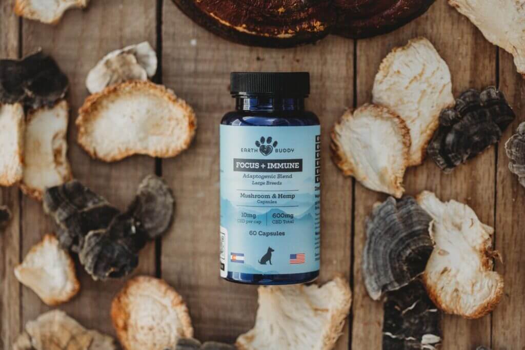 Earth Buddy bottle of Functional Mushrooms for dogs surrounded by lion’s mane mushrooms and turkey tail mushrooms. Read this blog to learn about antioxidant properties of mushrooms.